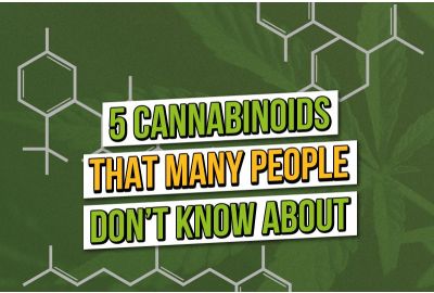 5 Lesser Known Cannabinoids 