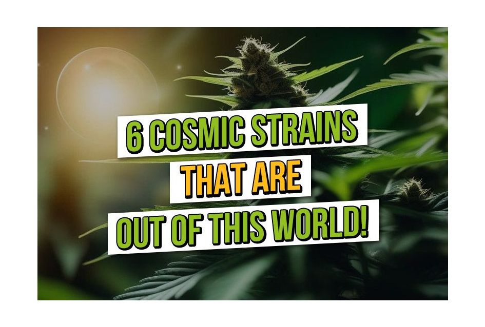 6 Cosmic Cannabis Seeds that are out of this world