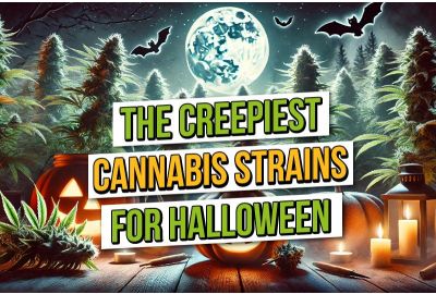 The Creepiest Cannabis Strains for Halloween 