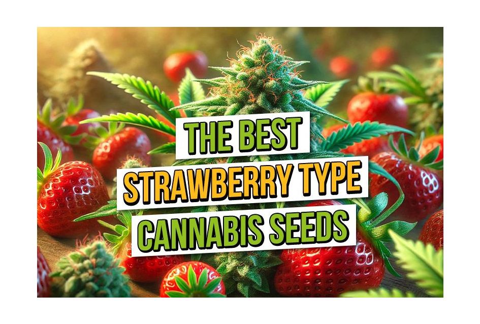  The Best Strawberry Cannabis Strains