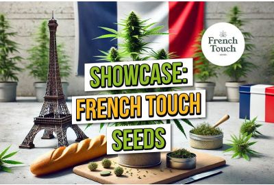 French Touch Seeds Showcase