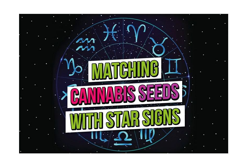 Matching Cannabis Seeds with Star Signs