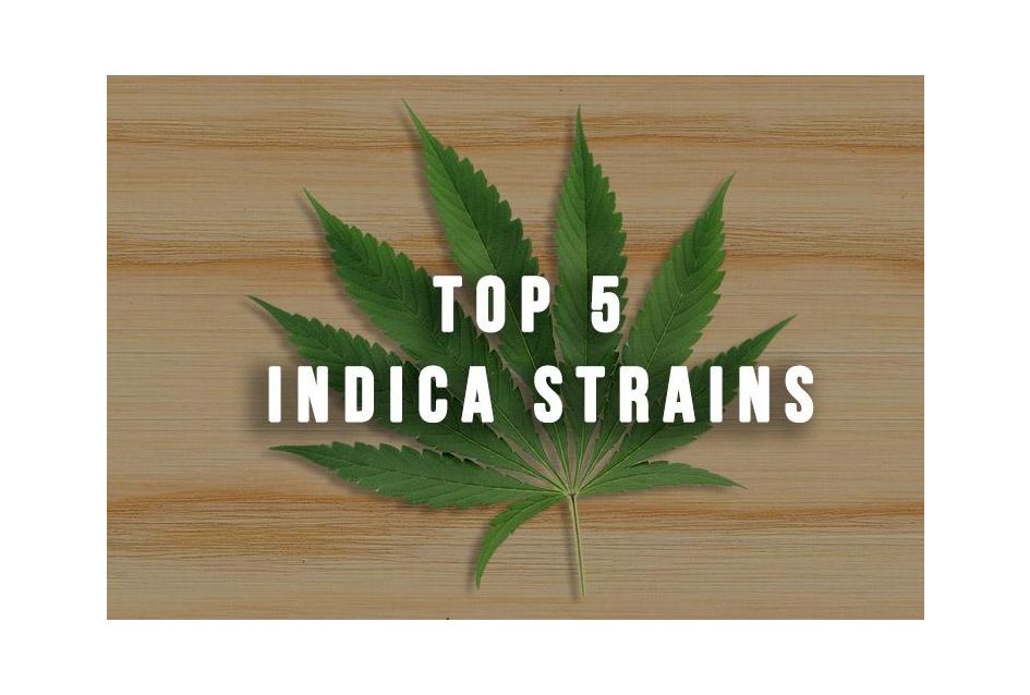 Top 5 Indica Strains