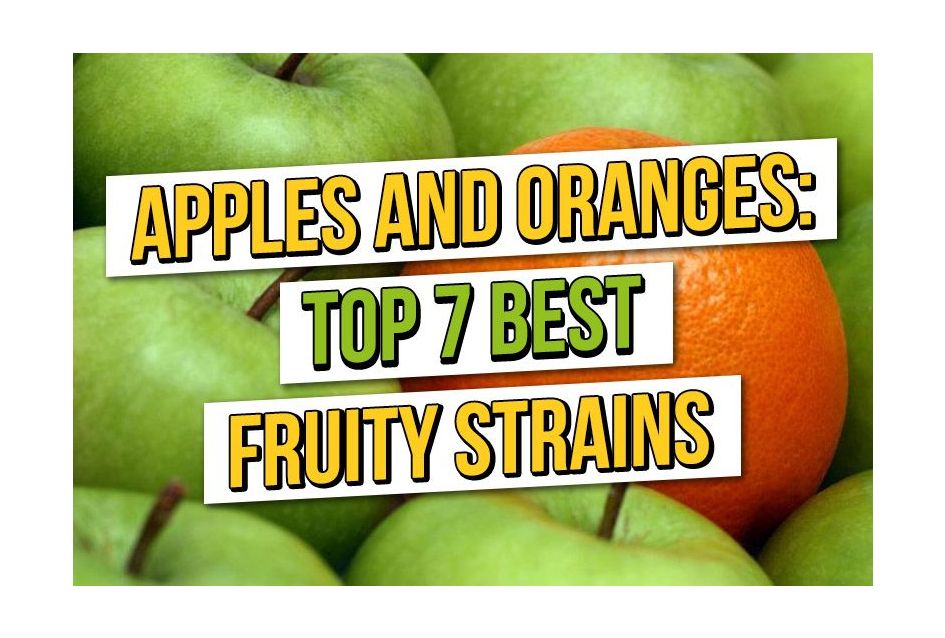 Apples and Oranges: Top 7 Best Fruity Cannabis Seeds