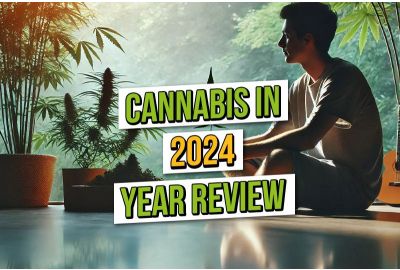 Cannabis 2024: Year in Review 