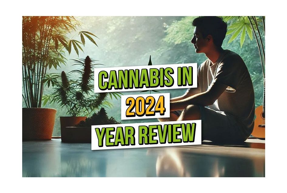 Cannabis 2024: Year in Review 