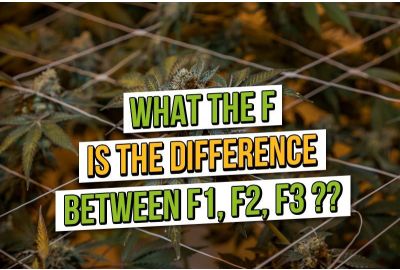 What is the F difference between F1, F2, and F3?