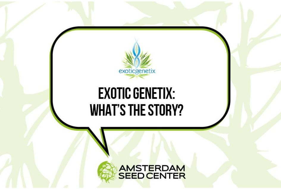 Exotic Genetix: What's the story?