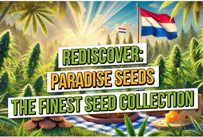 Rediscover Paradise Seeds and the Finest Seed Collection 