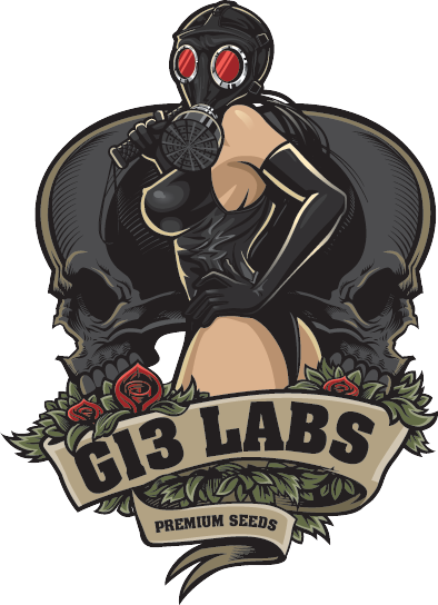 G13 Labs