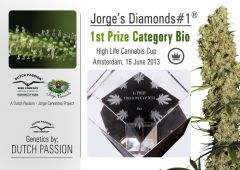 Jorge's Diamonds