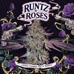 Runtz N' Roses - 6-pack