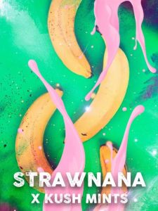 Strawnana Mints - 5-pack