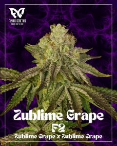 Zublime Grape F2 - 12-pack