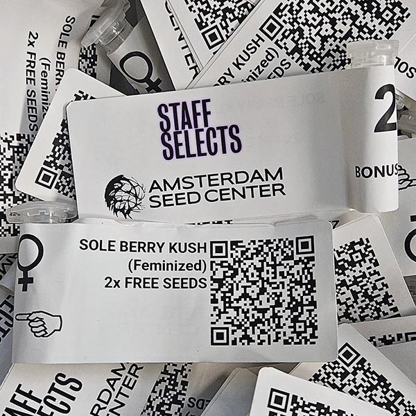 600-staff-selects-promo-soleberry-kush