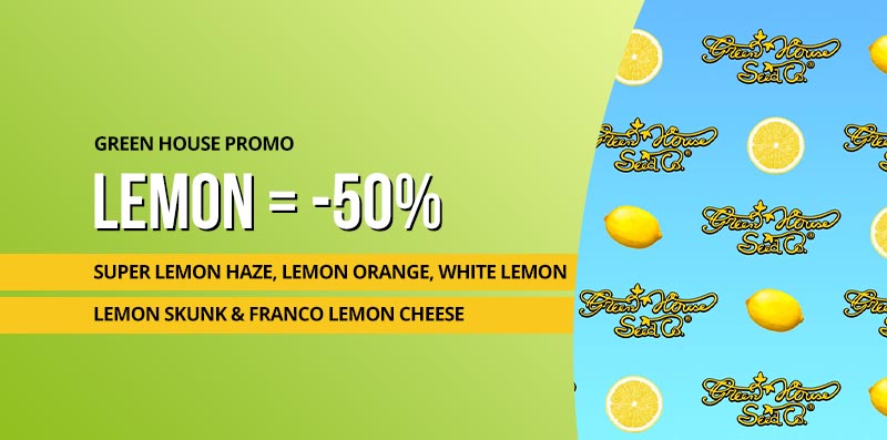 ghs-lemon-promo-nov-24